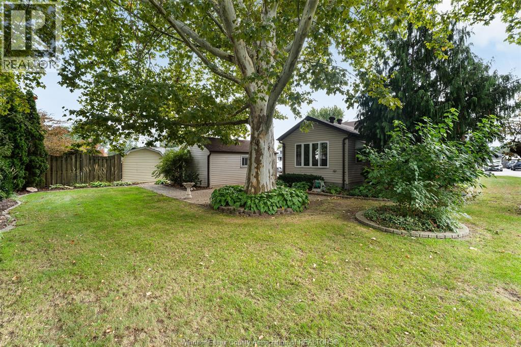 171 MAPLE - Image 9