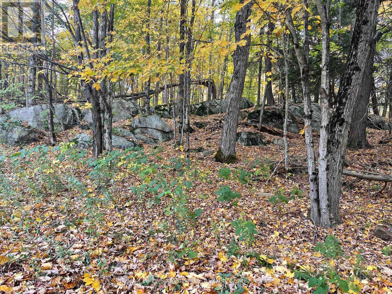 3 MAPLEWOOD DRIVE, McKellar — photo 12