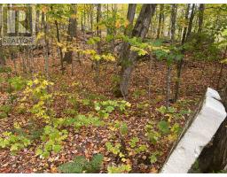 3 Maplewood Drive, Mckellar, ON P2A0B5 Photo 11