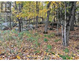3 Maplewood Drive, Mckellar, ON P2A0B5 Photo 12