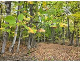 00 Burnt Hills Road, Frontenac, ON K0H1H0 Photo 22