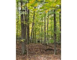 00 Burnt Hills Road, Frontenac, ON K0H1H0 Photo 25
