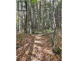 00 Burnt Hills Road, Frontenac, ON K0H1H0 Photo 27