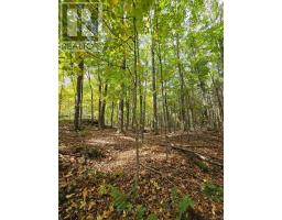 00 Burnt Hills Road, Frontenac, ON K0H1H0 Photo 28