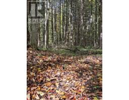 00 Burnt Hills Road, Frontenac, ON K0H1H0 Photo 29