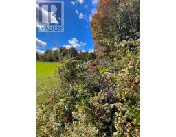 00 Burnt Hills Road, Frontenac, ON K0H1H0 Photo 30