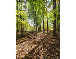 00 Burnt Hills Road, Frontenac, ON K0H1H0 Photo 31