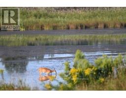 240 Edgewater Boulevard, Middlesex Centre, ON N0L1R0 Photo 46