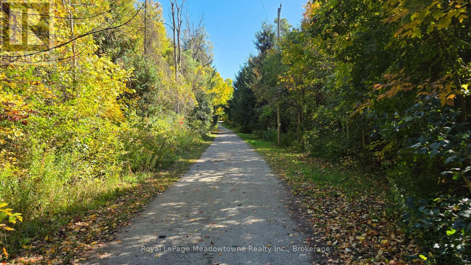 4202 15 SIDE ROAD - 6