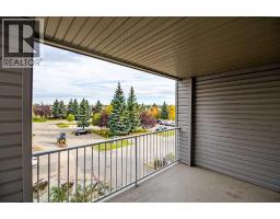 316, 60 Lawford Avenue, Red Deer, AB T4R3E9 Photo 8