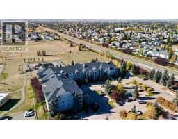 316, 60 Lawford Avenue, Red Deer, AB T4R3E9 Photo 41