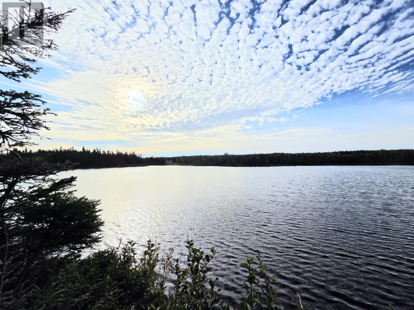 CL124016 Sprucy Pond (Rocky Road) Pond - 5