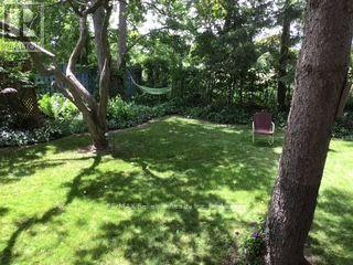 19 Sparling Street — photo 33