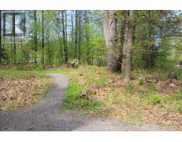 886 Muskoka 10 Road, Huntsville, ON P0B1L0 Photo 11
