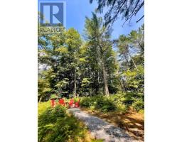 886 Muskoka 10 Road, Huntsville, ON P0B1L0 Photo 12