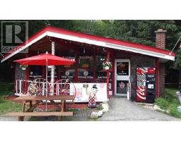 886 Muskoka 10 Road, Huntsville, ON P0B1L0 Photo 37