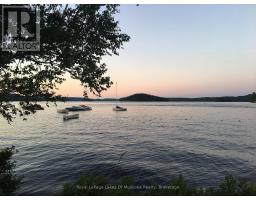 886 Muskoka 10 Road, Huntsville, ON P0B1L0 Photo 40