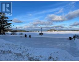 886 Muskoka 10 Road, Huntsville, ON P0B1L0 Photo 41