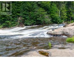 886 Muskoka 10 Road, Huntsville, ON P0B1L0 Photo 44