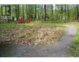 886 Muskoka 10 Road, Huntsville, ON P0B1L0 Photo 7