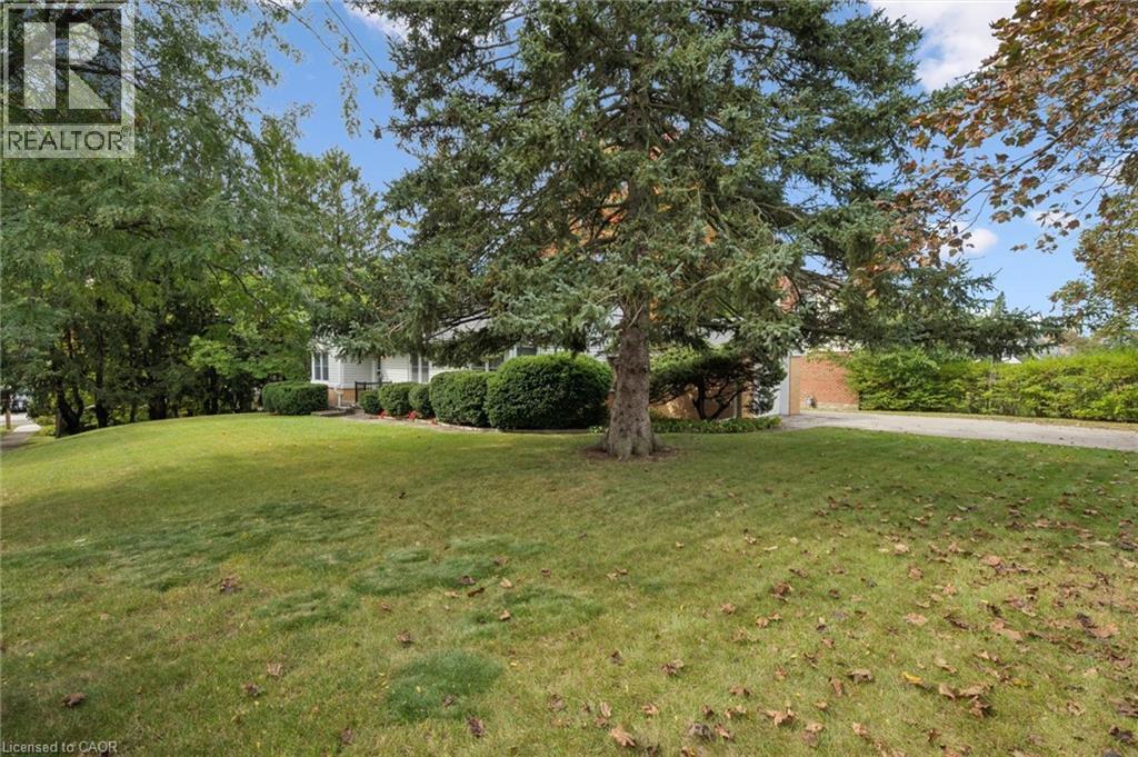65 BELMONT Avenue W — photo 3