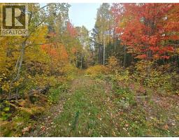 275 Chamberlain Settlement, photo 15