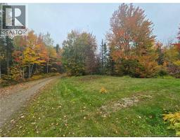 275 Chamberlain Settlement, photo 17