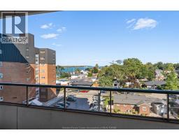 5151 Riverside Drive E, Windsor, ON N8S4R5 Photo 27
