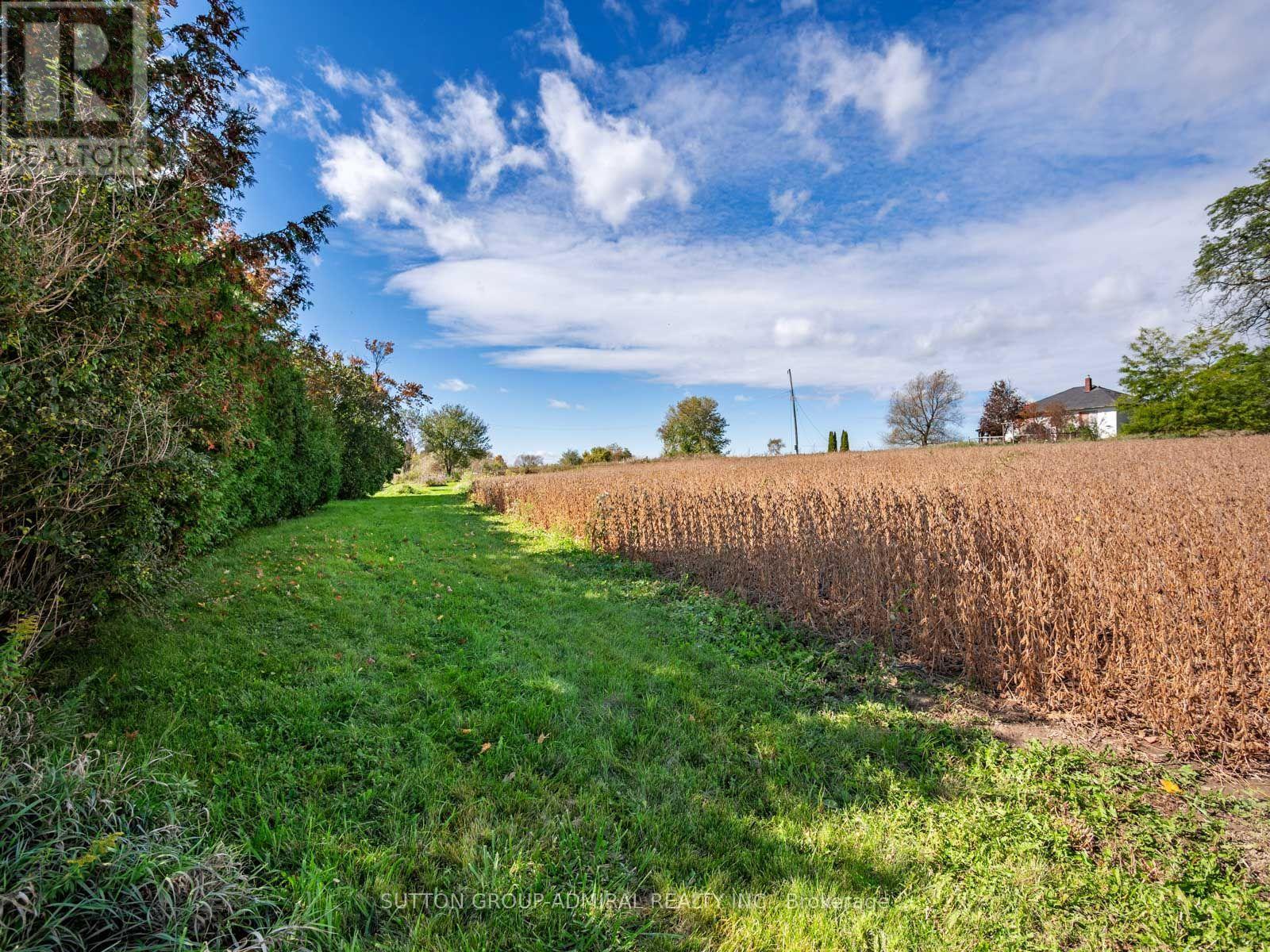 4122 County 88 Road, Bradford West Gwillimbury, ON photo 50
