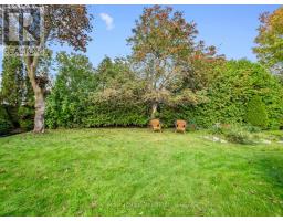 4122 County 88 Road, Bradford West Gwillimbury, ON L3Z3K8 Photo 46