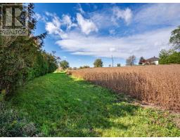 4122 County 88 Road, Bradford West Gwillimbury, ON L3Z3K8 Photo 50