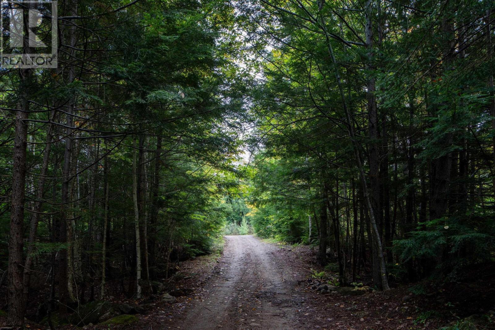 78 White Birch Lane - 6