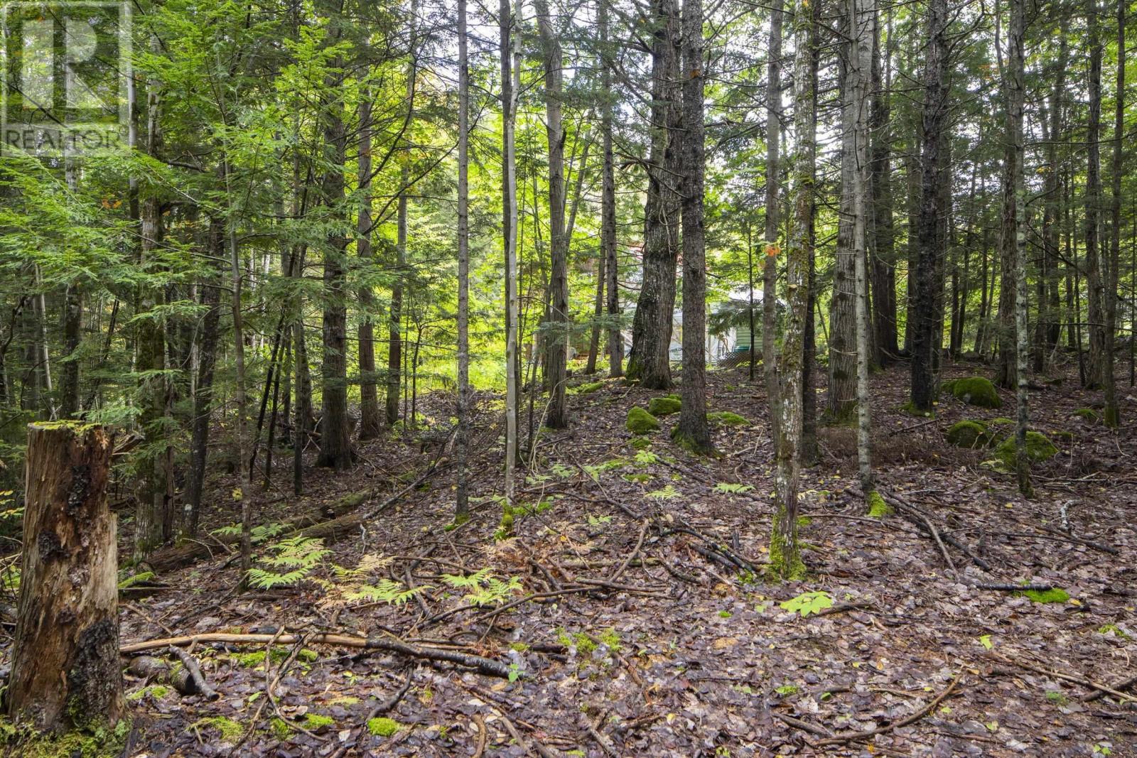 78 White Birch Lane - 46