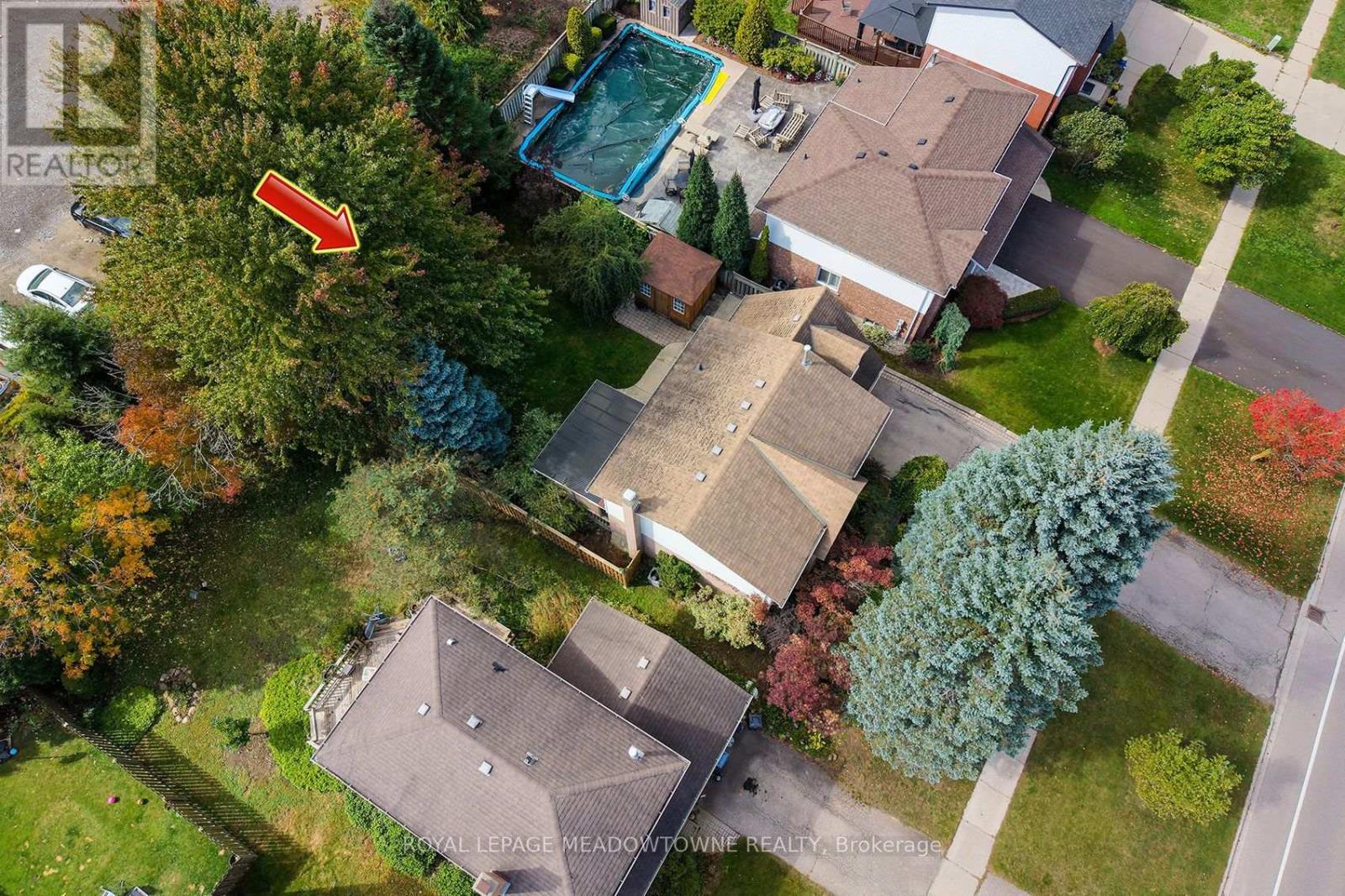 209 ELMIRA ROAD S - 34