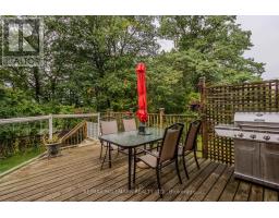 10 Holmcrest Trail, Toronto, ON M1C1V5 Photo 25