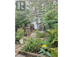 203 Fairview Avenue, Toronto, ON M6P3A6 Photo 25