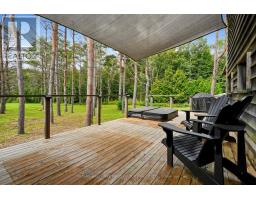 230 Lakeport Road, Alnwick/haldimand, ON K0K1S0 Photo 43