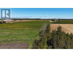 4237 Manson Lane, Lincoln, ON L0R1G0 Photo 42