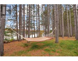 5073 Weslemkoon Lake Road, Tudor And Cashel, ON K0L1W0 Photo 24