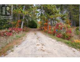 5073 Weslemkoon Lake Road, Tudor And Cashel, ON K0L1W0 Photo 28