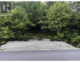 3 Highway 308 N, East Quinan, NS B0W3M0 Photo 20