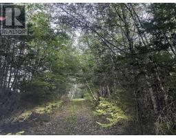 3 Highway 308 N, East Quinan, NS B0W3M0 Photo 21
