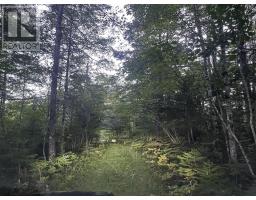 3 Highway 308 N, East Quinan, NS B0W3M0 Photo 22