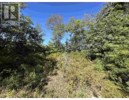 3 Highway 308 N, East Quinan, NS B0W3M0 Photo 23