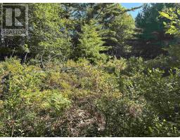 3 Highway 308 N, East Quinan, NS B0W3M0 Photo 24