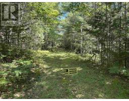 3 Highway 308 N, East Quinan, NS B0W3M0 Photo 26