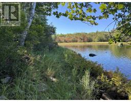 3 Highway 308 N, East Quinan, NS B0W3M0 Photo 27