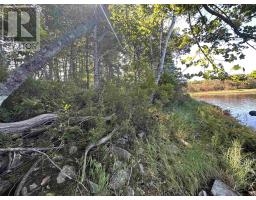 3 Highway 308 N, East Quinan, NS B0W3M0 Photo 30