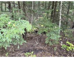 51 Shelby Crescent, New Minas, NS B4N5J1 Photo 28