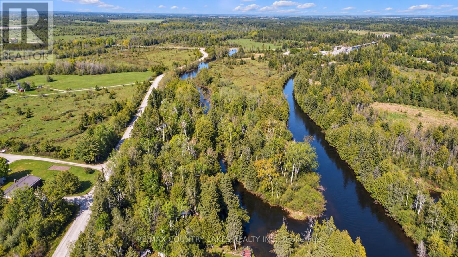 77 McGuire Beach Road, Kawartha Lakes, ON photo 6